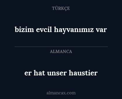 bizim evcil hayvanımız var - er hat unser haustier