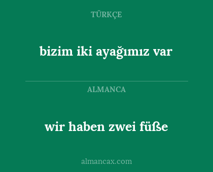 bizim iki ayağımız var - wir haben zwei füße