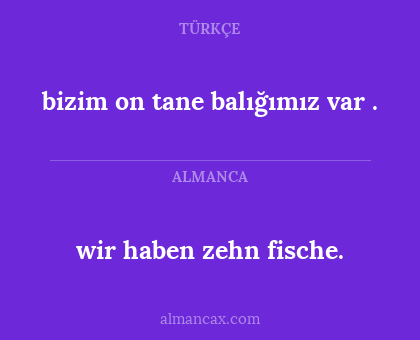bizim on tane balığımız var . - wir haben zehn fische.