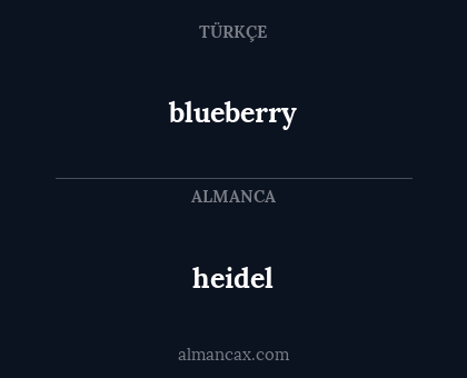 blueberry - heidel