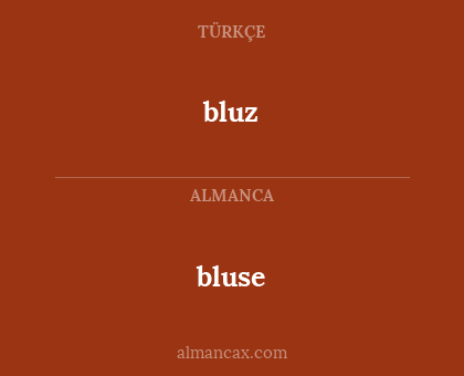 bluz - bluse