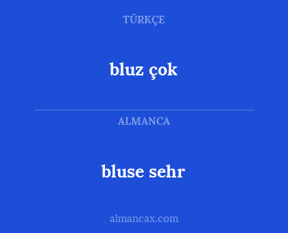 bluz çok - bluse sehr