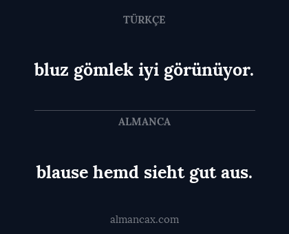 blause hemd sieht gut aus. - bluz gömlek iyi görünüyor.