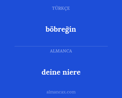 böbreğin - deine niere