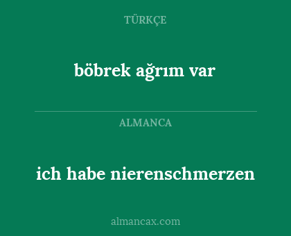 böbrek ağrım var - ich habe nierenschmerzen