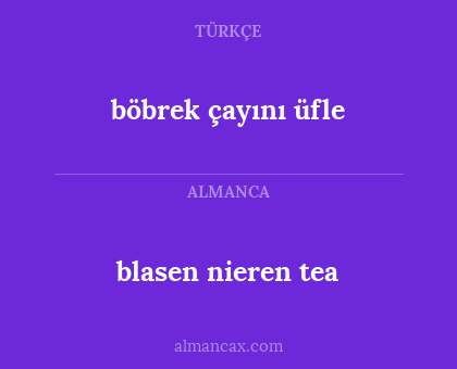 blasen nieren tea - böbrek çayını üfle