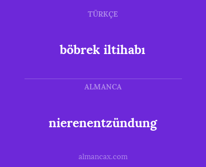 böbrek iltihabı - nierenentzündung
