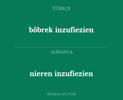 böbrek inzufiezien - nieren inzufiezien