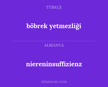 niereninsuffizienz - böbrek yetmezliği