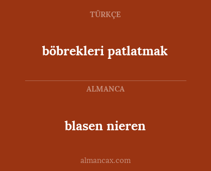 böbrekleri patlatmak - blasen nieren