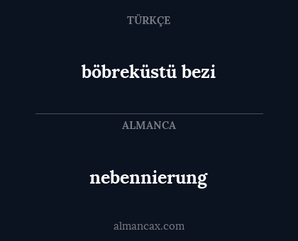 böbreküstü bezi - nebennierung