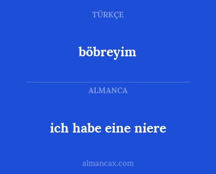 böbreyim - ich habe eine niere