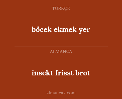 insekt frisst brot - böcek ekmek yer