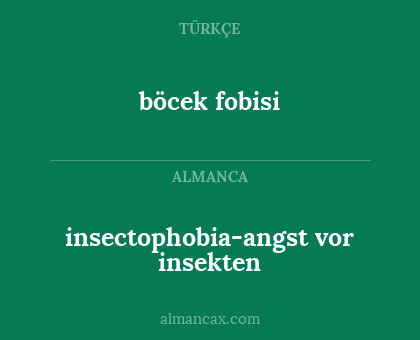 böcek fobisi - insectophobia-angst vor insekten