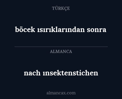 böcek ısırıklarından sonra - nach ınsektenstichen