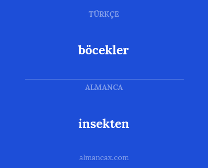 böcekler - insekten
