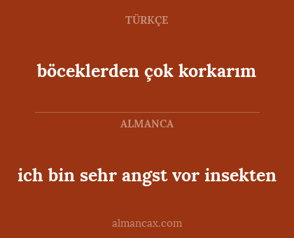 böceklerden çok korkarım - ich bin sehr angst vor insekten
