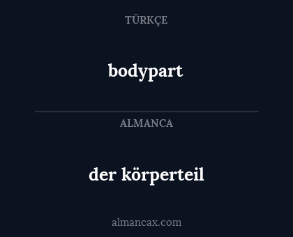 bodypart - der körperteil