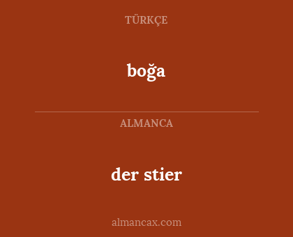 boğa - der stier