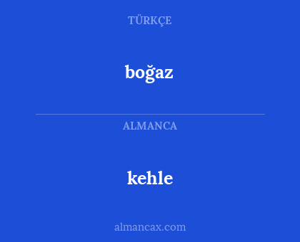 kehle - boğaz