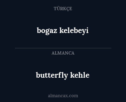 butterfly kehle - bogaz kelebeyi