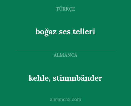 kehle, stimmbänder - boğaz ses telleri