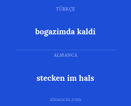 stecken im hals - bogazimda kaldi