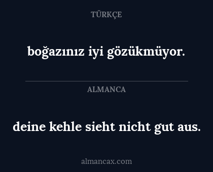 boğazınız iyi gözükmüyor. - deine kehle sieht nicht gut aus.