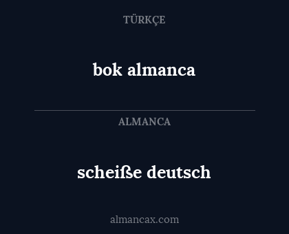 bok almanca - scheiße deutsch