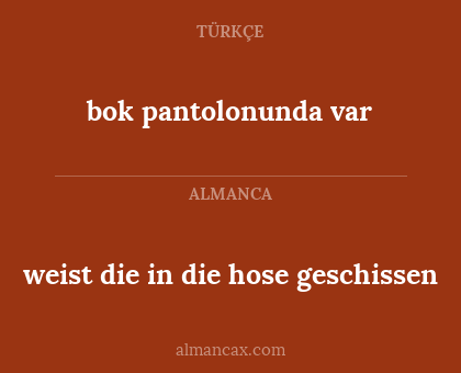 weist die in die hose geschissen - bok pantolonunda var