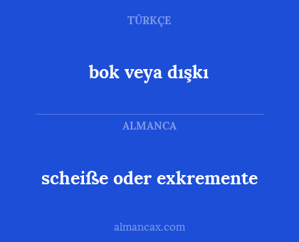 bok veya dışkı - scheiße oder exkremente