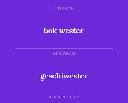 geschiwester - bok wester