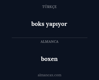 boxen - boks yapıyor