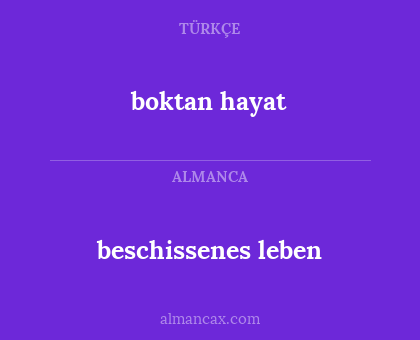 boktan hayat - beschissenes leben