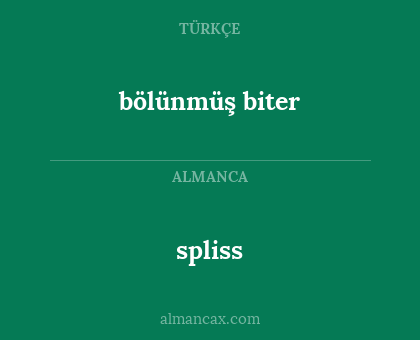 bölünmüş biter - spliss