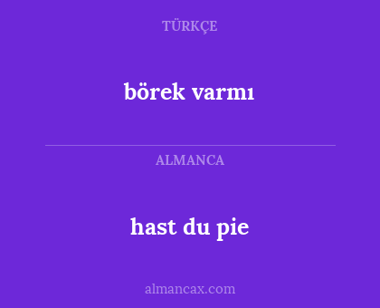 hast du pie - börek varmı