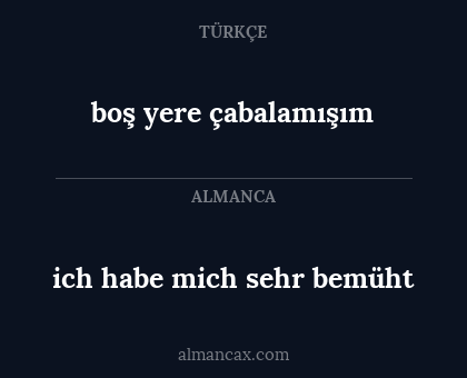 ich habe mich sehr bemüht - boş yere çabalamışım