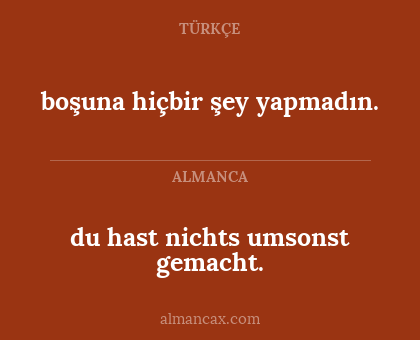 du hast nichts umsonst gemacht. - boşuna hiçbir şey yapmadın.