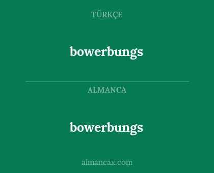 bowerbungs - bowerbungs