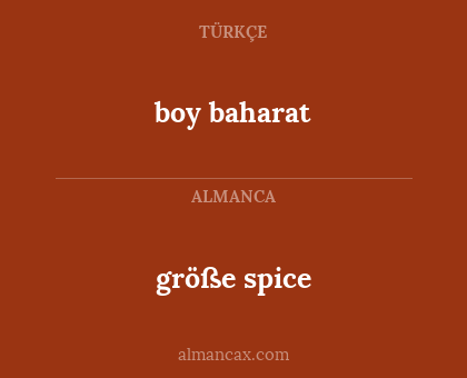 größe spice - boy baharat