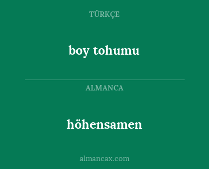 höhensamen - boy tohumu