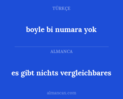 es gibt nichts vergleichbares - boyle bi numara yok