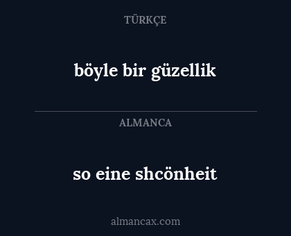 böyle bir güzellik - so eine shcönheit