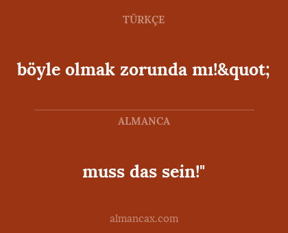 muss das sein!" - böyle olmak zorunda mı!"