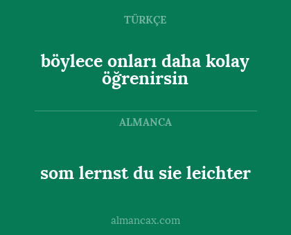 som lernst du sie leichter - böylece onları daha kolay öğrenirsin