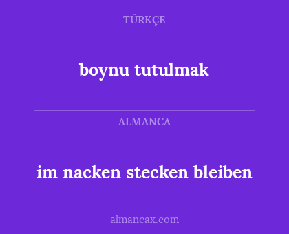 boynu tutulmak - im nacken stecken bleiben