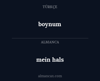 boynum - mein hals
