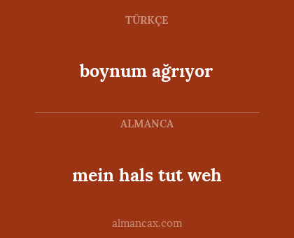 mein hals tut weh - boynum ağrıyor