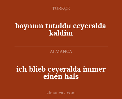 boynum tutuldu ceyeralda kaldim - ich blieb ceyeralda immer einen hals