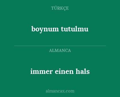 boynum tutulmu - immer einen hals